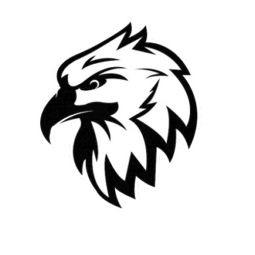“Сокіл”